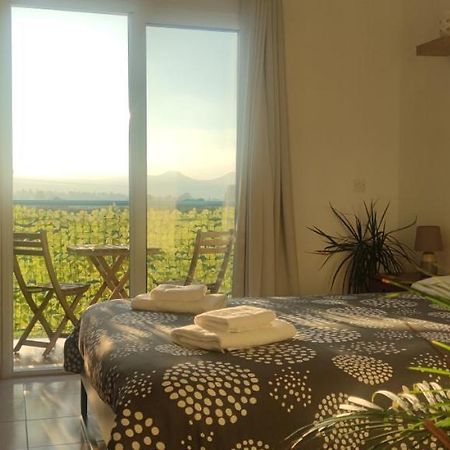 Thalassa Seaside Boutique Beach Apartment Polis エクステリア 写真