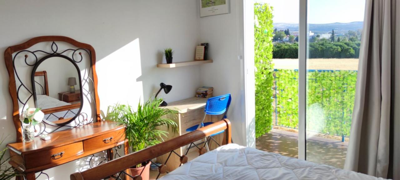 Thalassa Seaside Boutique Beach Apartment Polis エクステリア 写真