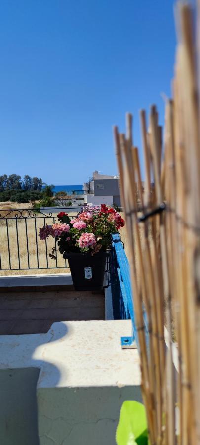 Thalassa Seaside Boutique Beach Apartment Polis エクステリア 写真