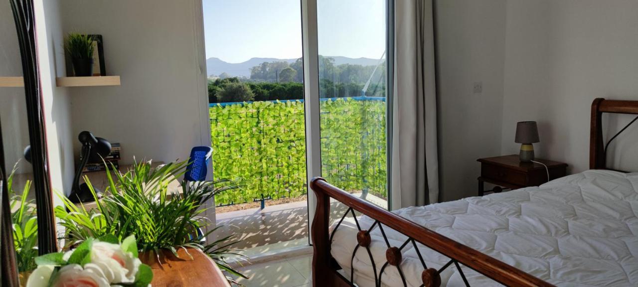 Thalassa Seaside Boutique Beach Apartment Polis エクステリア 写真